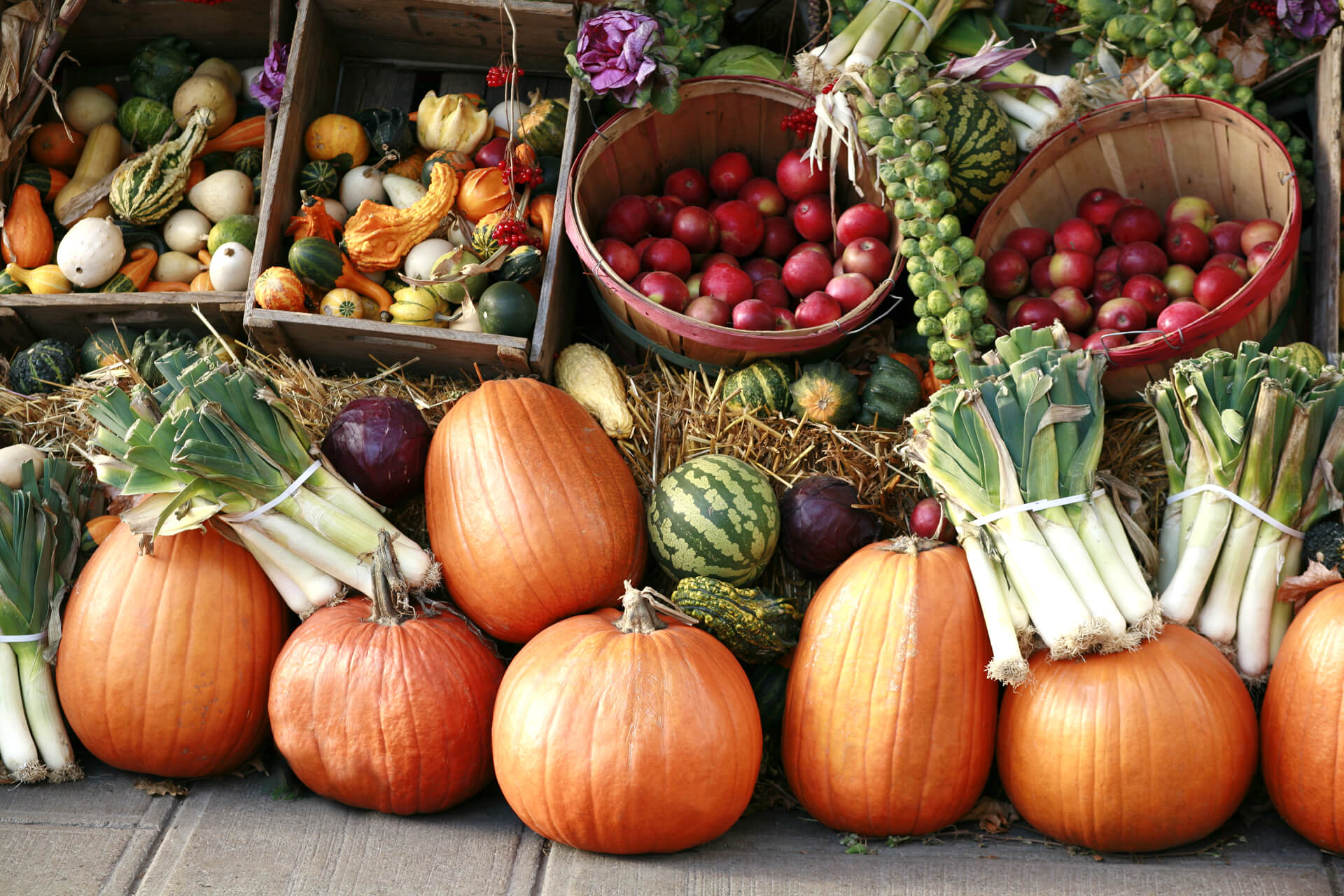 9th Annual Chili Pepper Roast & Produce Market Jolly Lane Greenhouse