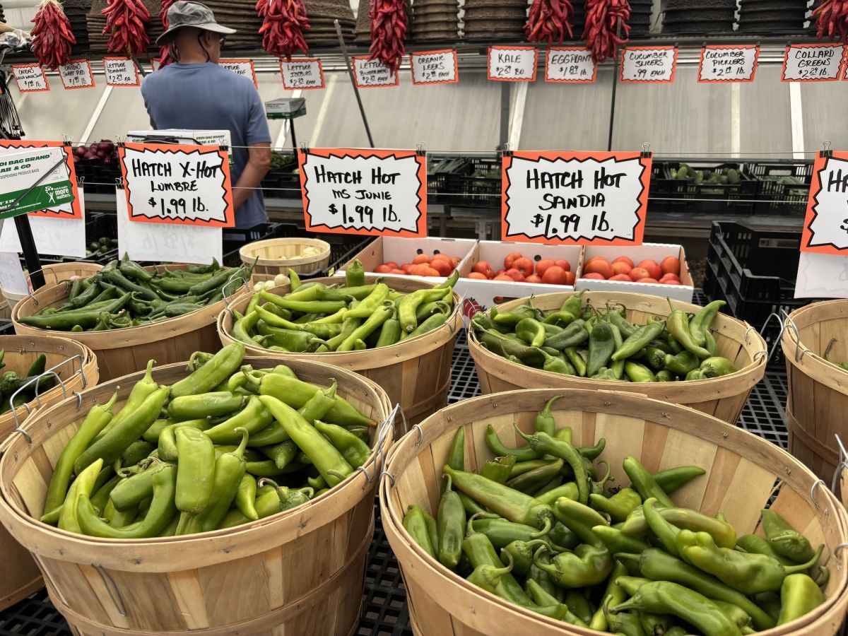 Chile Hatch Peppers at Jolly Lane GreenhouseChile Hatch Peppers at Jolly Lane Greenhouse