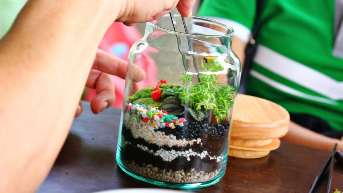 Image of someone building a terrarium