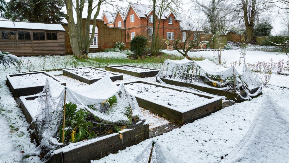 image of winter garden