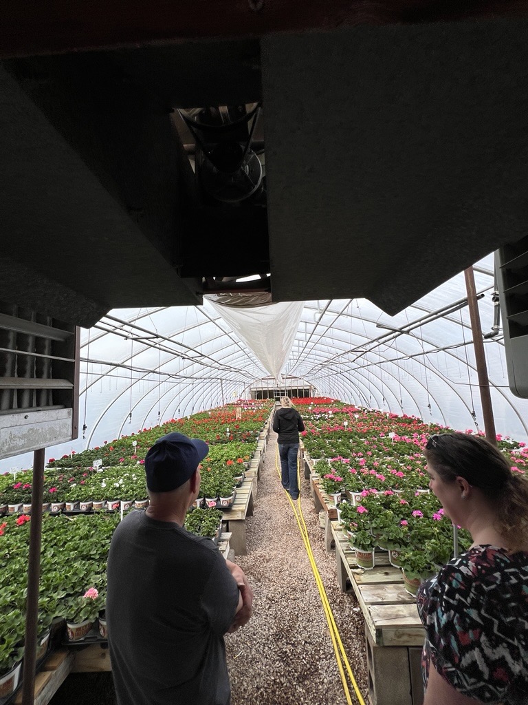 BTS at Jolly Lane Greenhouse