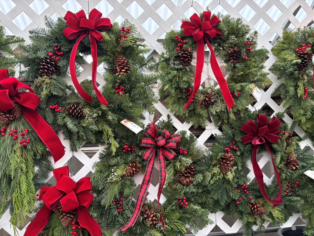 Christmas wreaths at Jolly Lane Greenhouse