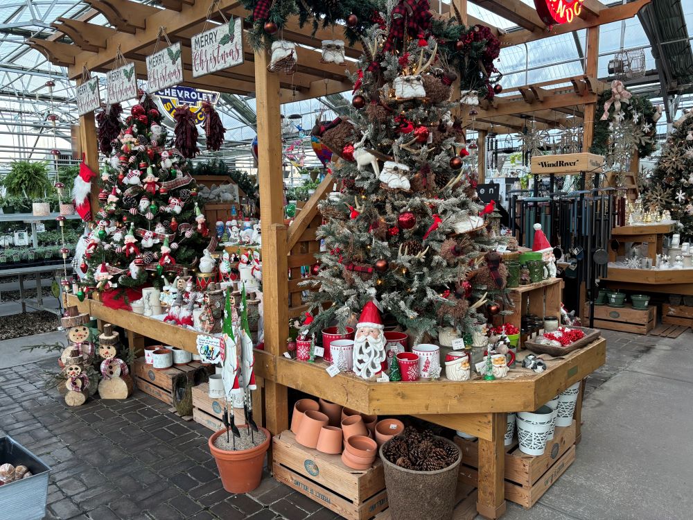 Christmas gifts at Jolly Lane Greenhouse