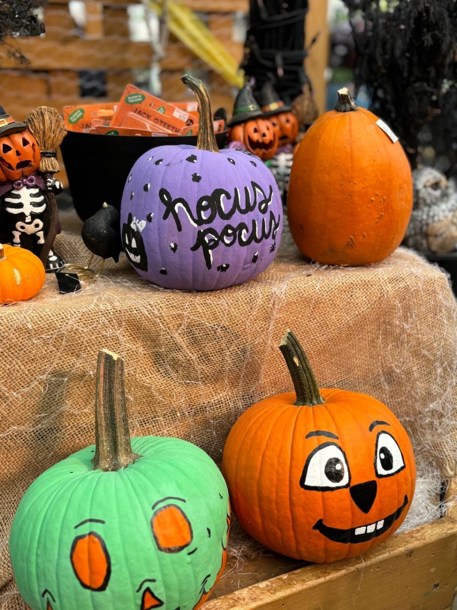 Painted Pumpkins at Jolly Lane Greenhouse
