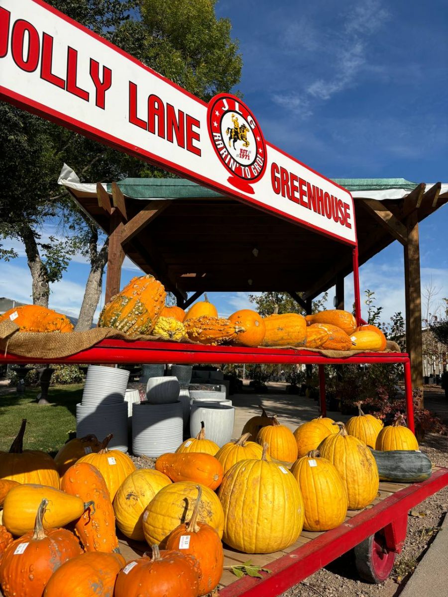 Pumpkins at Jolly Lane Greenhouse in Rapid City