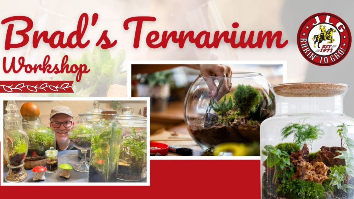 Image of Brad's Terrarium Workshop event at Jolly Lane Greenhouse graphic